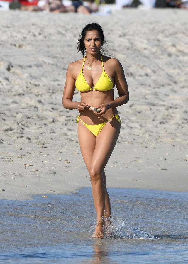 Padma Lakshmi NSFW