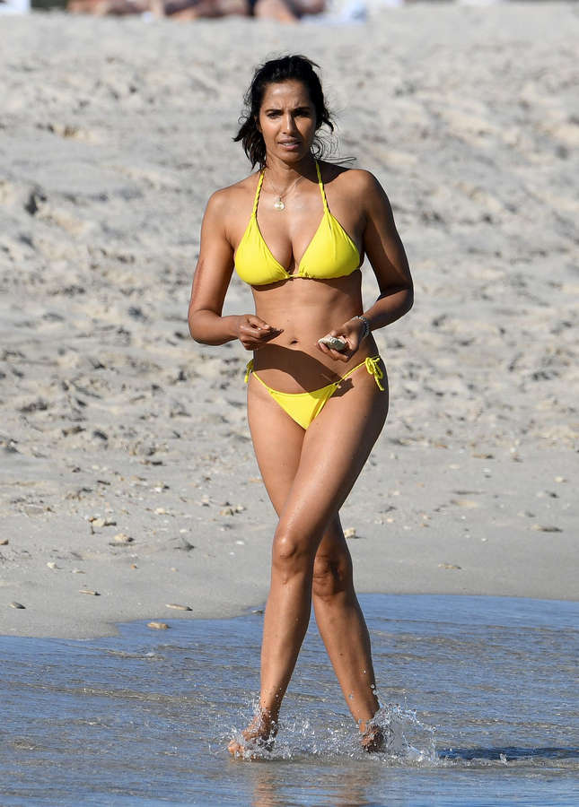 Padma Lakshmi NSFW