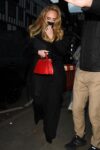 Adele Leaves Studio West London