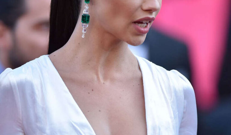 Adriana Lima Julieta Premiere 69th Annual Cannes Film Festival (15 photos)