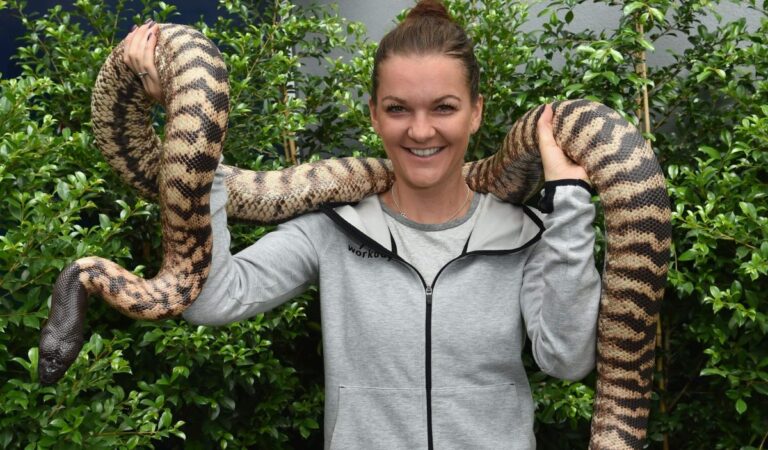 Agnieszak Radwanska Holding Python Snake Melbourne (6 photos)