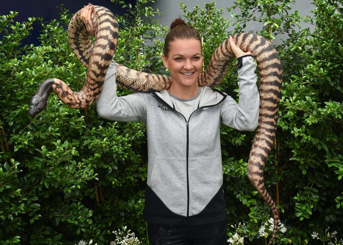 Agnieszak Radwanska Holding Python Snake Melbourne