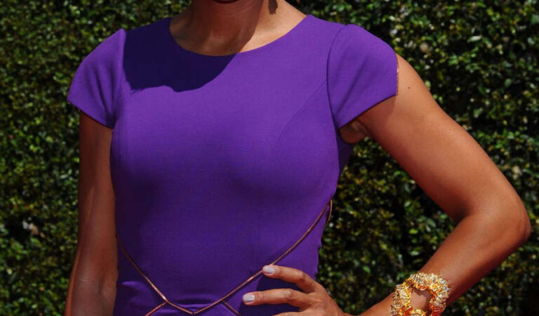 Aisha Tyler 2014 Creative Arts Emmy Awards Los Angeles (5 photos)
