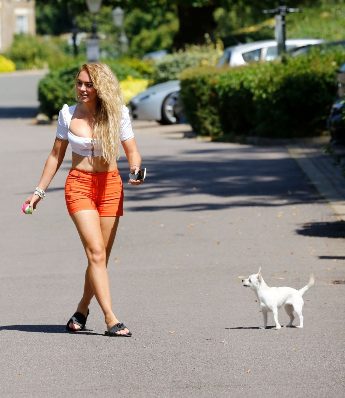 Aisleyne Horgan Wallace Out With Her Dog London