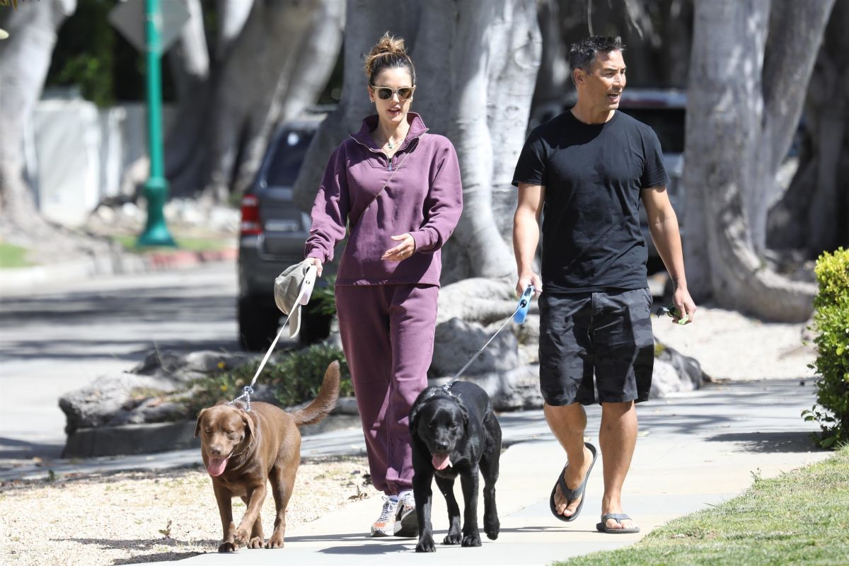 Alessandra Ambrosio And Richard Out With Their Dogs Brentwood