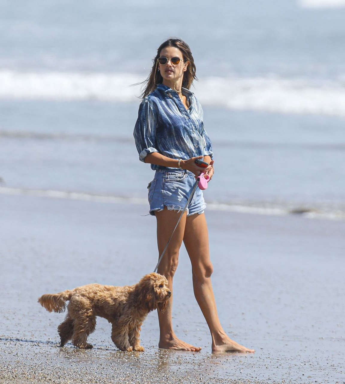Alessandra Ambrosio Out With Her Dog Beach Malibu
