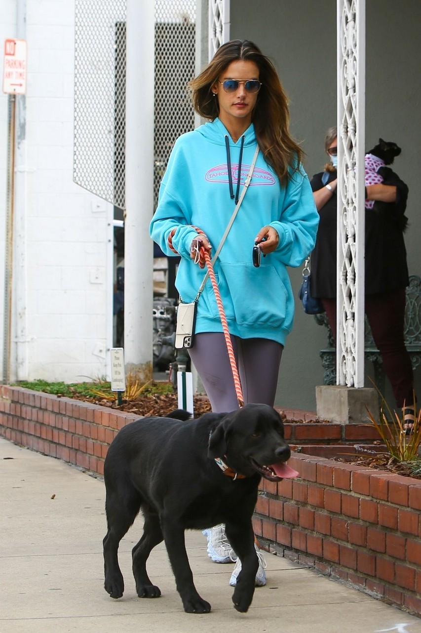 Alessandra Ambrosio Out With Her Dog Brentwood