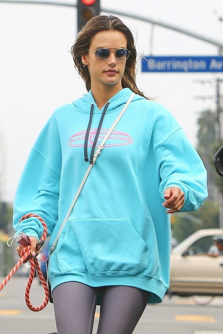 Alessandra Ambrosio Out With Her Dog Brentwood