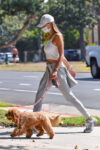 Alessandra Ambrosio Out With Her Dog Los Angeles