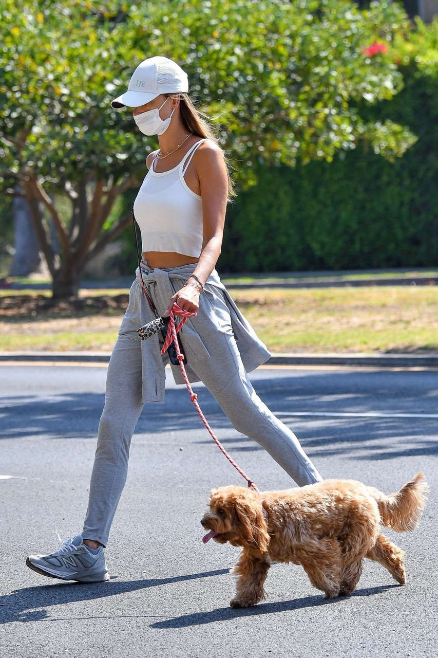 Alessandra Ambrosio Out With Her Dog Los Angeles