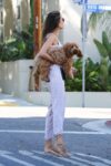 Alessandra Ambrosio Out With Her Dog West Hollywood