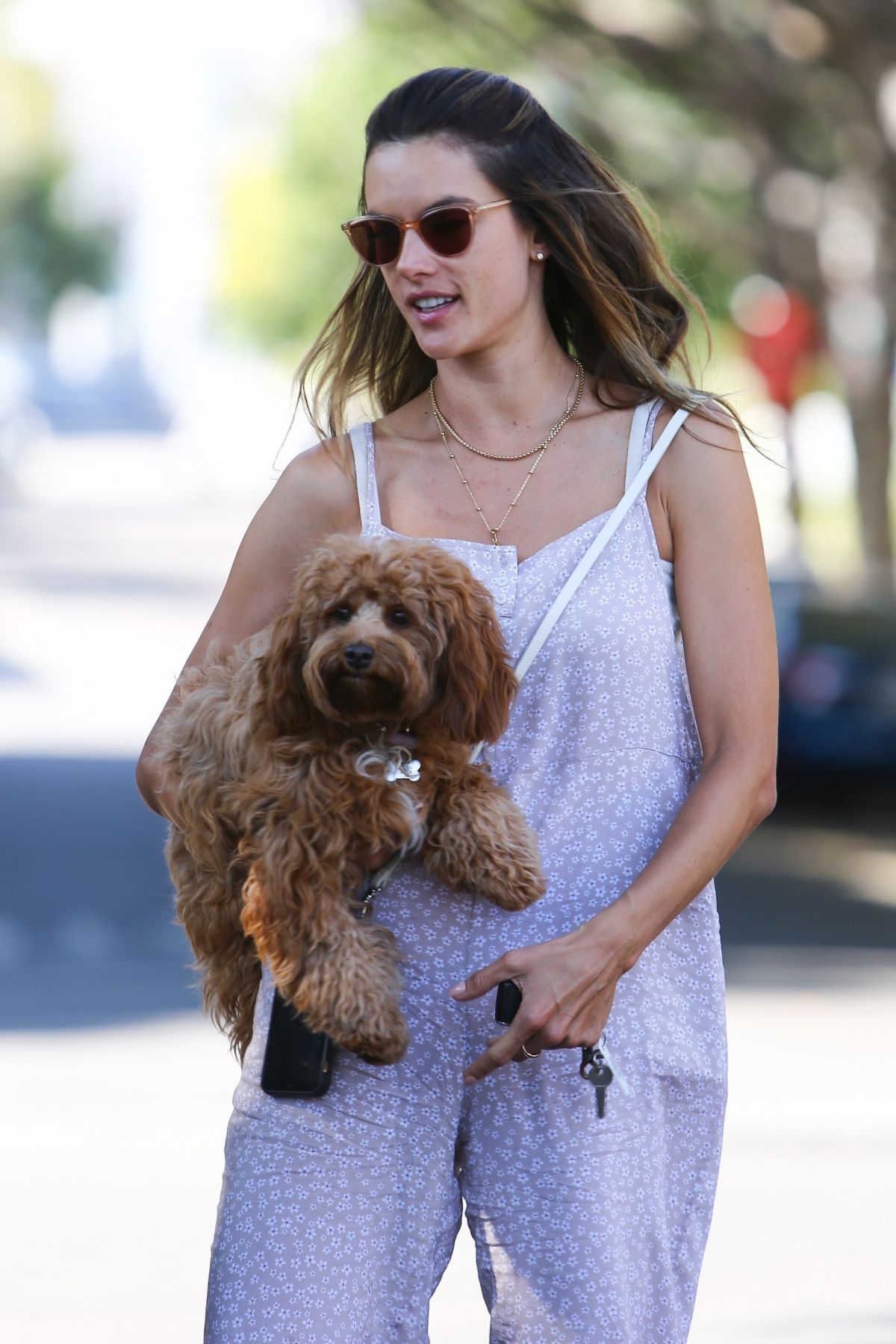 Alessandra Ambrosio Out With Her Dog West Hollywood