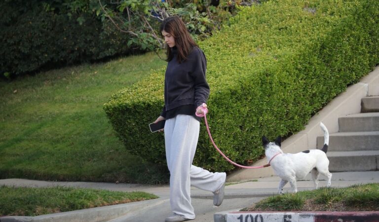 Alexandra Daddario Out With Her Dog Los Angeles (10 photos)