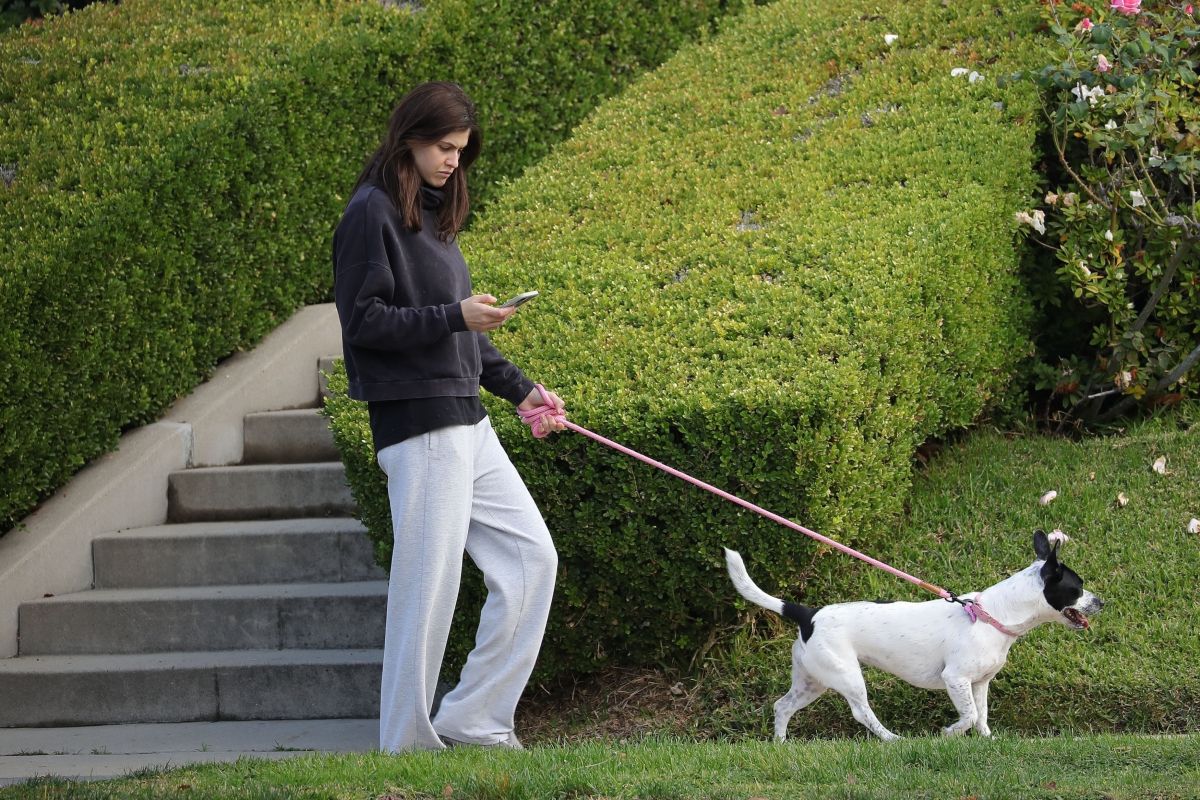 Alexandra Daddario Out With Her Dog Los Angeles