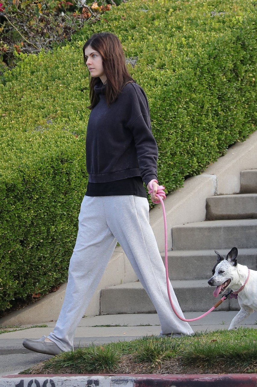 Alexandra Daddario Out With Her Dog Los Angeles