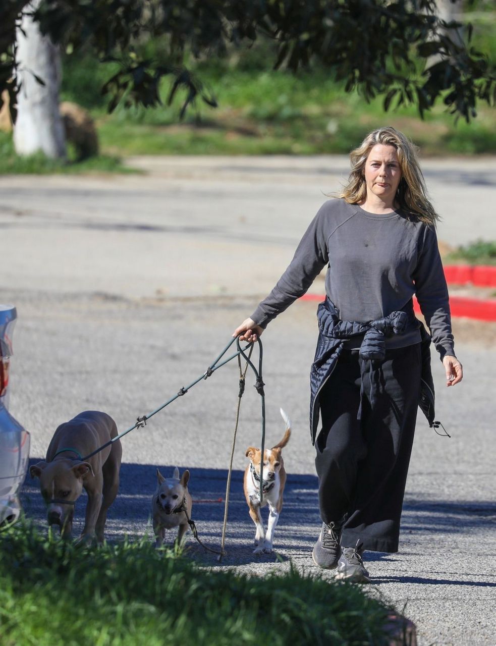 Alicia Silverstone Out With Her Dogs Los Angeles