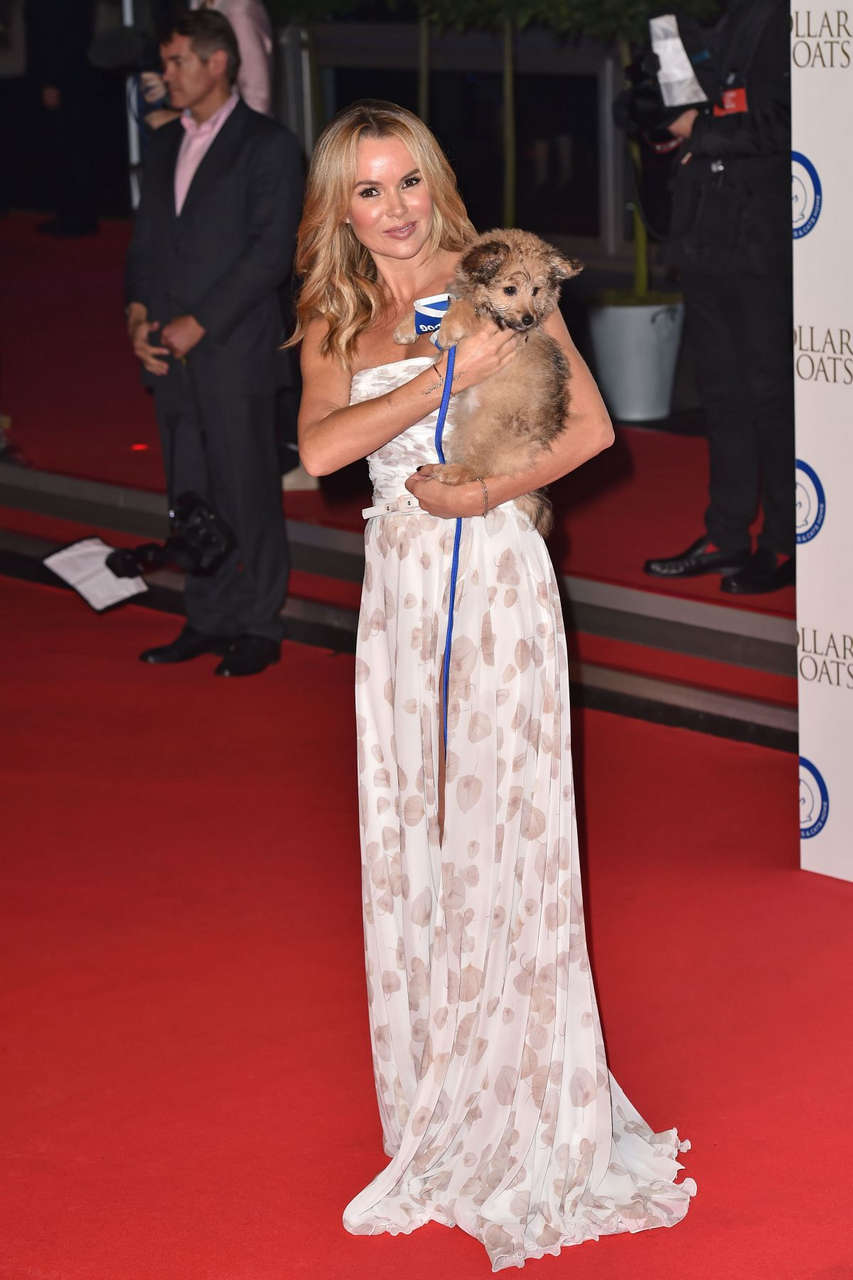 Amanda Holden Battersea Dogs Collars Coats Gala London
