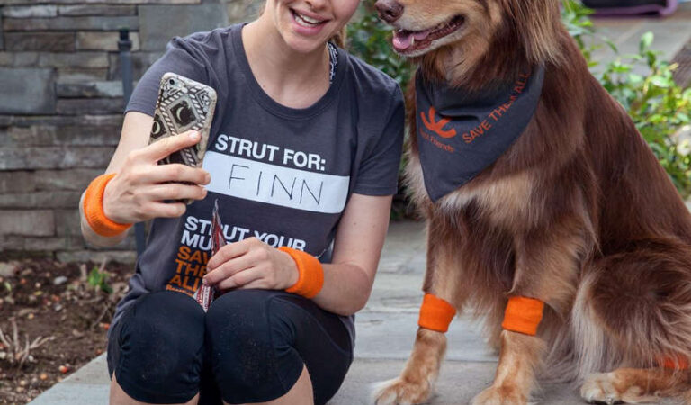 Amanda Seyfried Finn Fos Save Lives Of Shelter Pets Campaign (12 photos)
