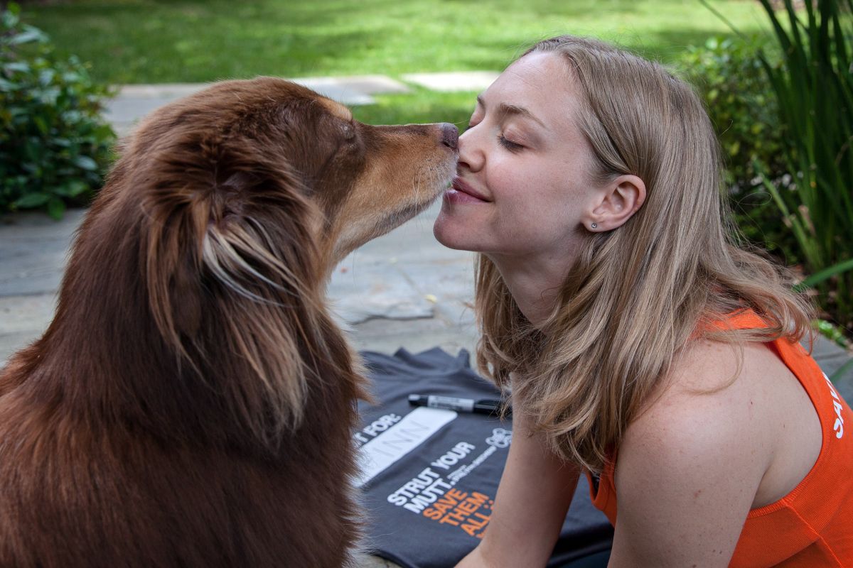 Amanda Seyfried Finn Fos Save Lives Of Shelter Pets Campaign