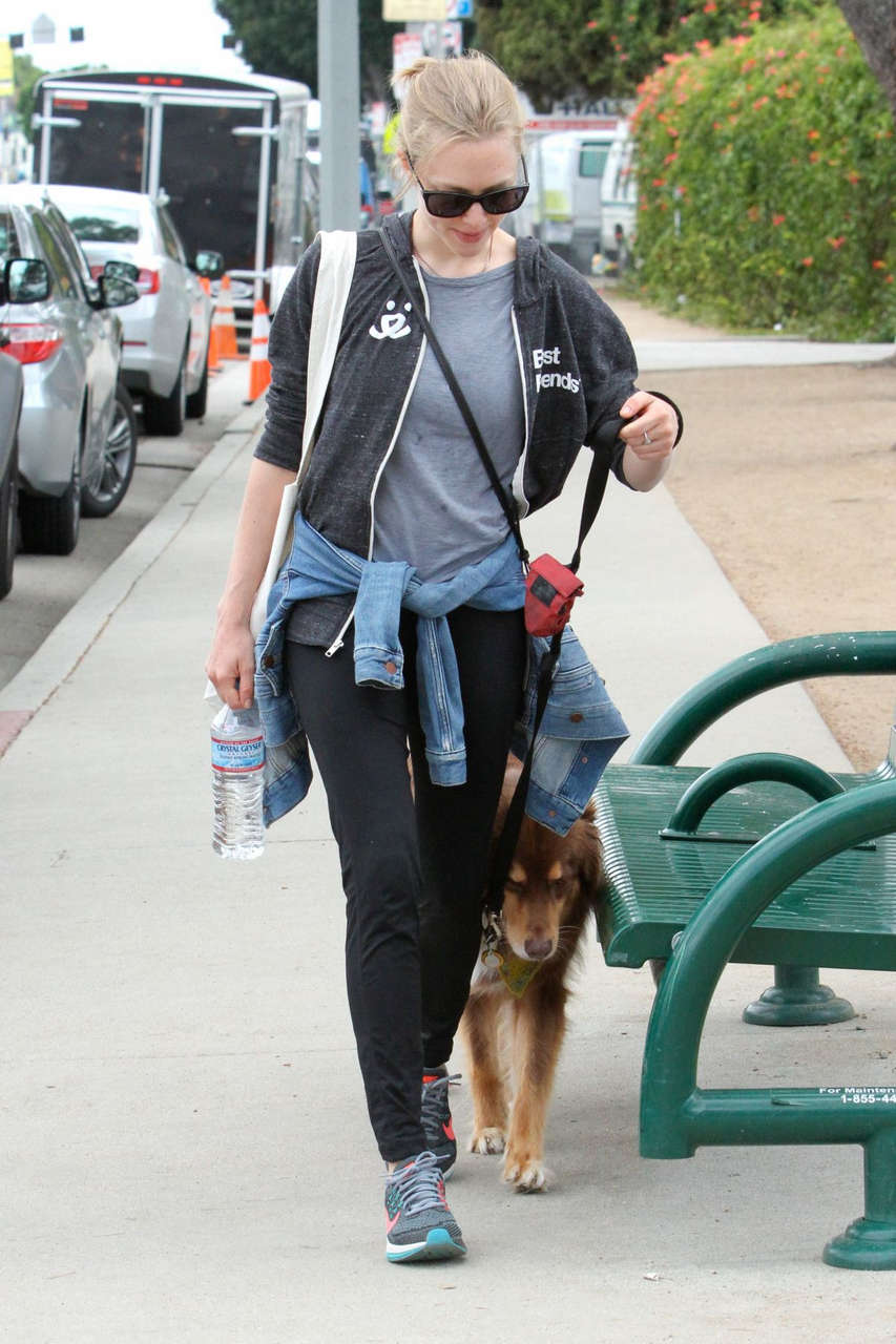 Amanda Seyfried Finn Out West Hollywood