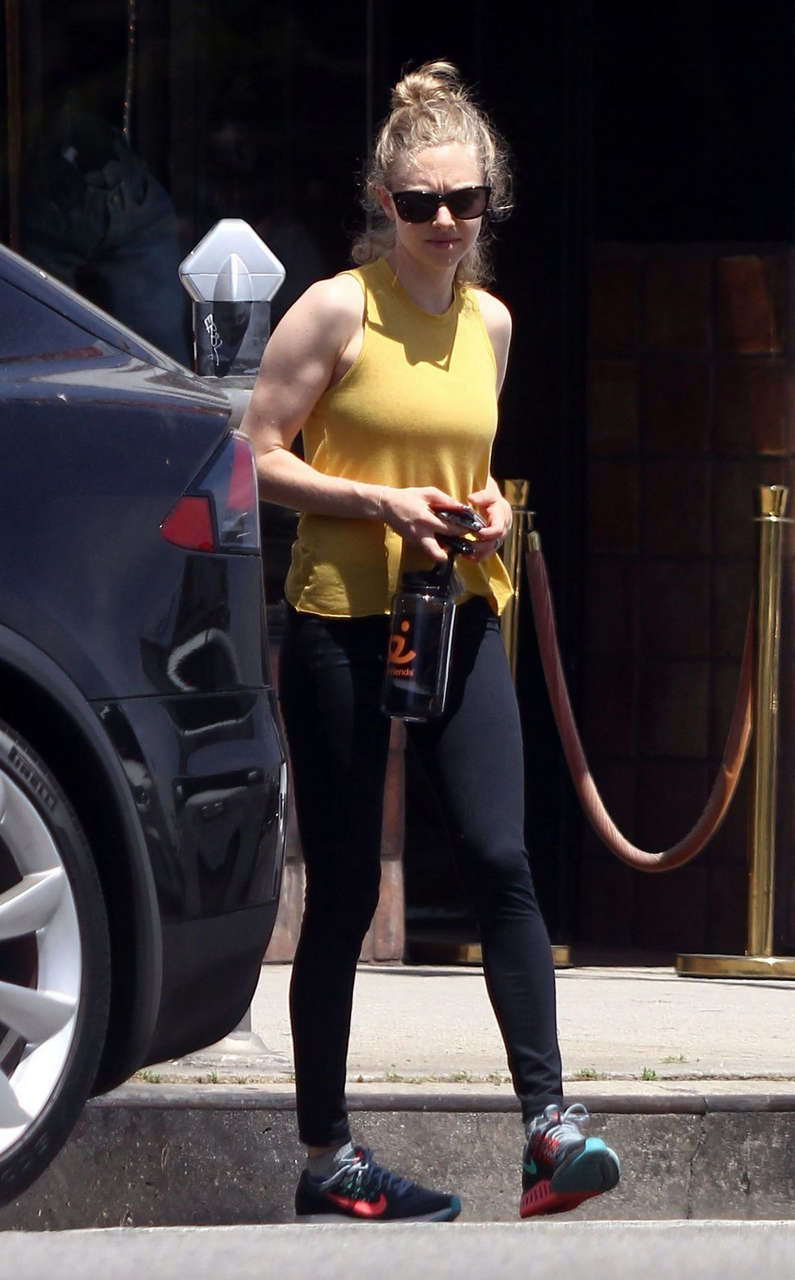 Amanda Seyfried Gym Hollywood
