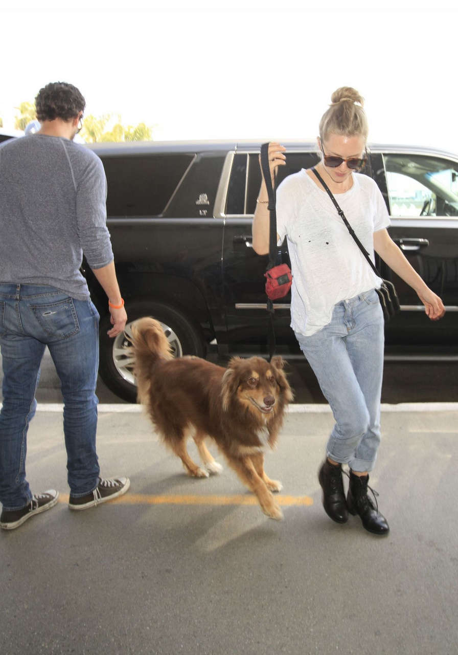 Amanda Seyfried Her Dog Finn Lax Airport