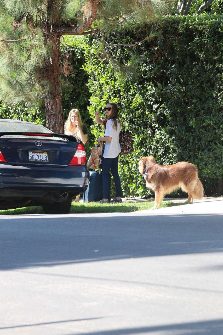 Amanda Seyfried Her Dog Finn Out Hollywood