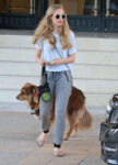 Amanda Seyfried Her Dog Shopping Beverly Hills