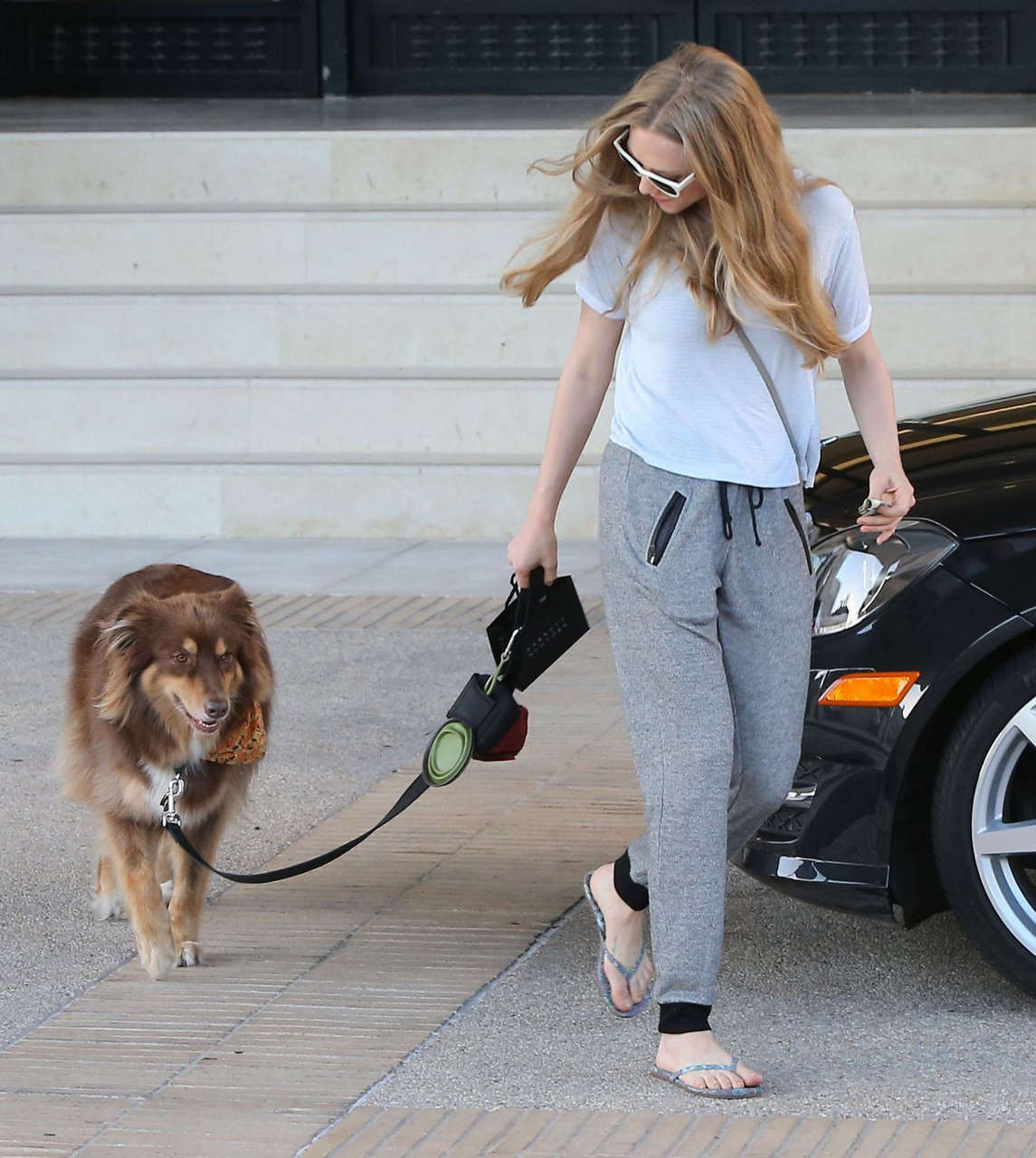 Amanda Seyfried Her Dog Shopping Beverly Hills