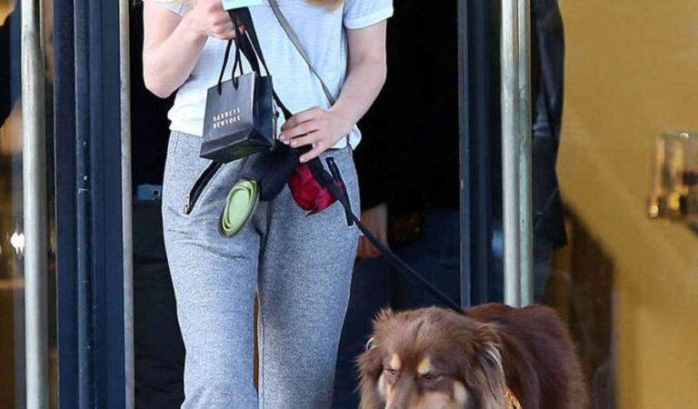 Amanda Seyfried Leaves Barneys New York Beverly Hills (15 photos)