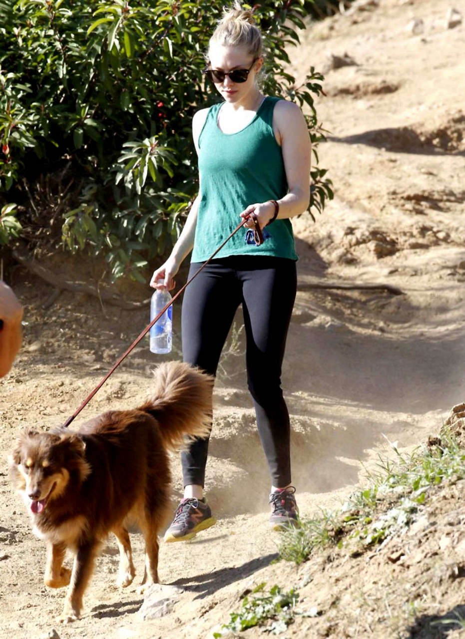 Amanda Seyfried Out For Walk Hollywood