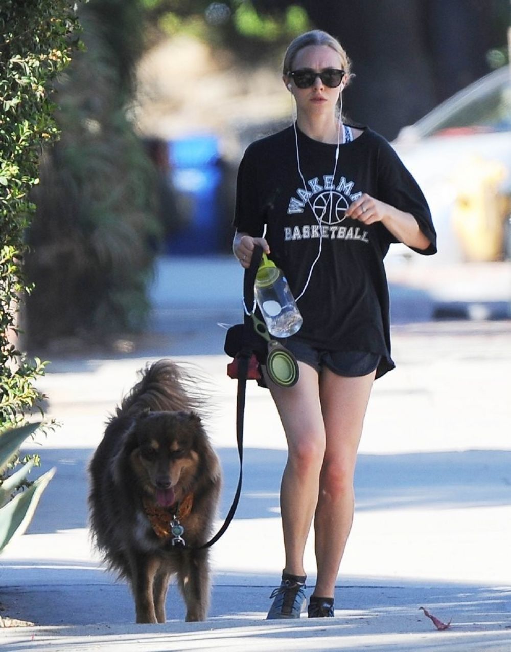Amanda Seyfried Shorts With Her Dog Finn Out West Hollywood