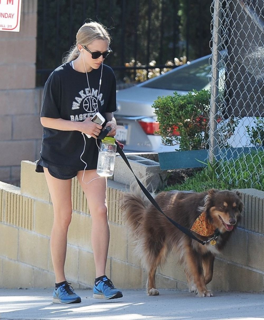 Amanda Seyfried Shorts With Her Dog Finn Out West Hollywood