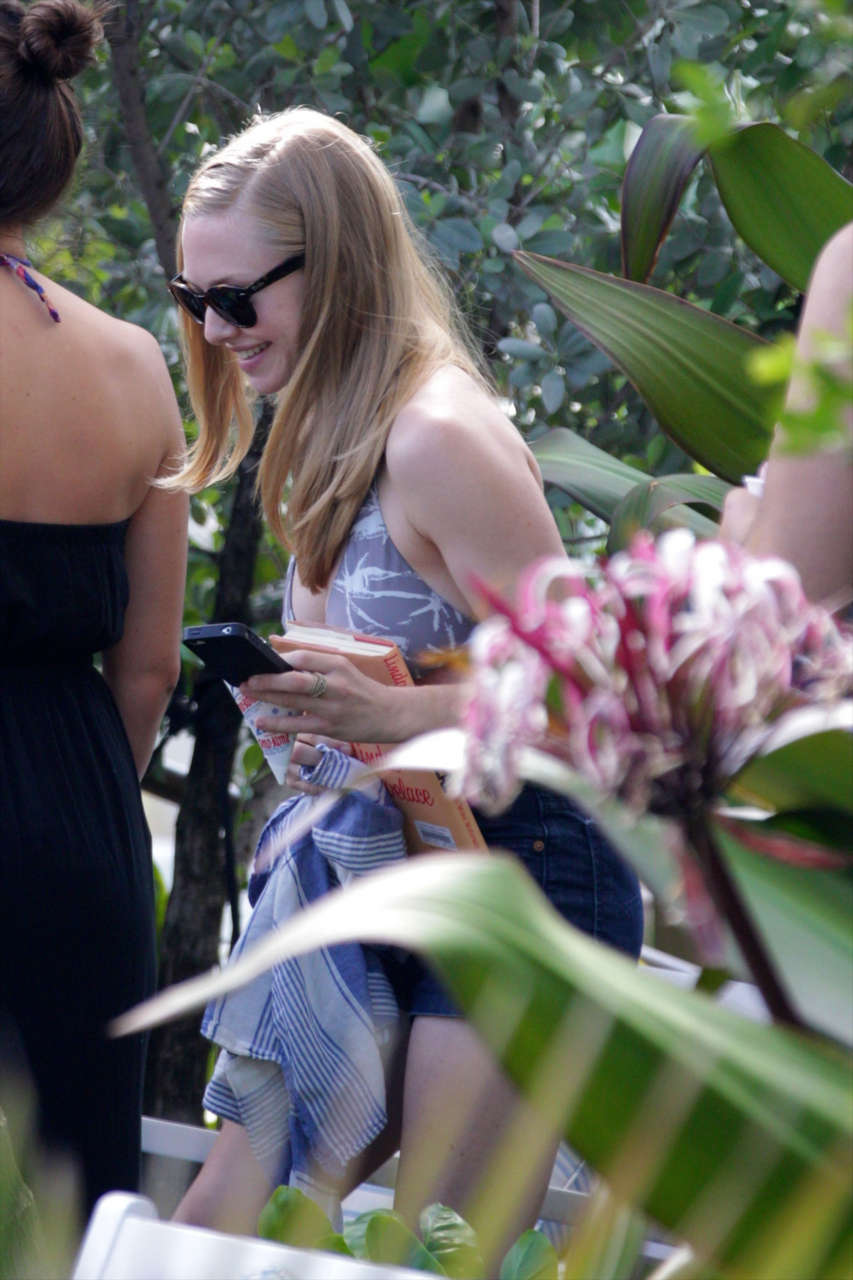 Amanda Seyfried Still Wearing Bikini Tops Miami