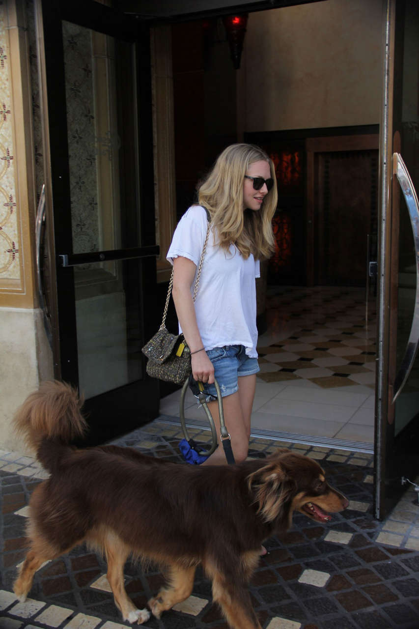 Amanda Seyfried Walking Her Dog