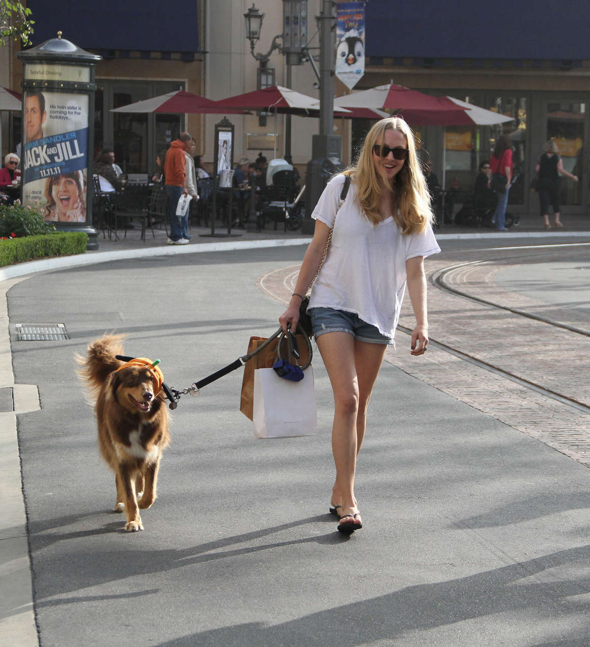 Amanda Seyfried Walking Her Dog