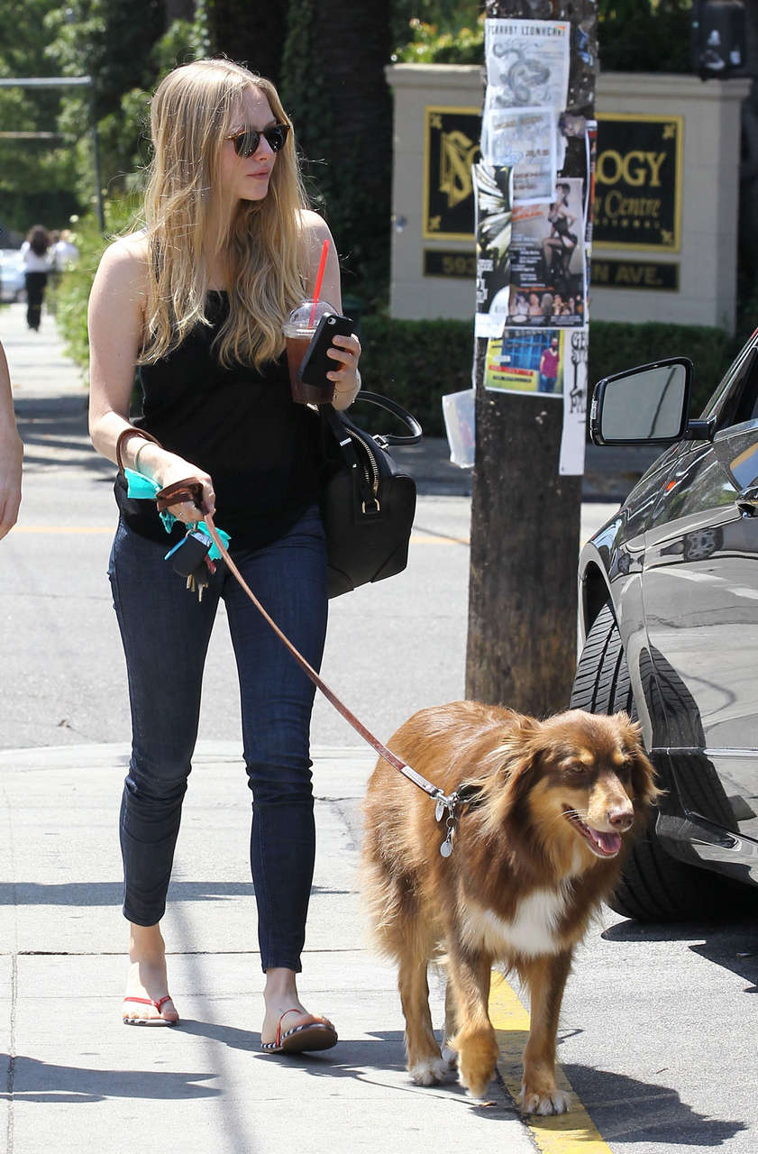 Amanda Seyfried Walking Her Dog Out Los Feliz