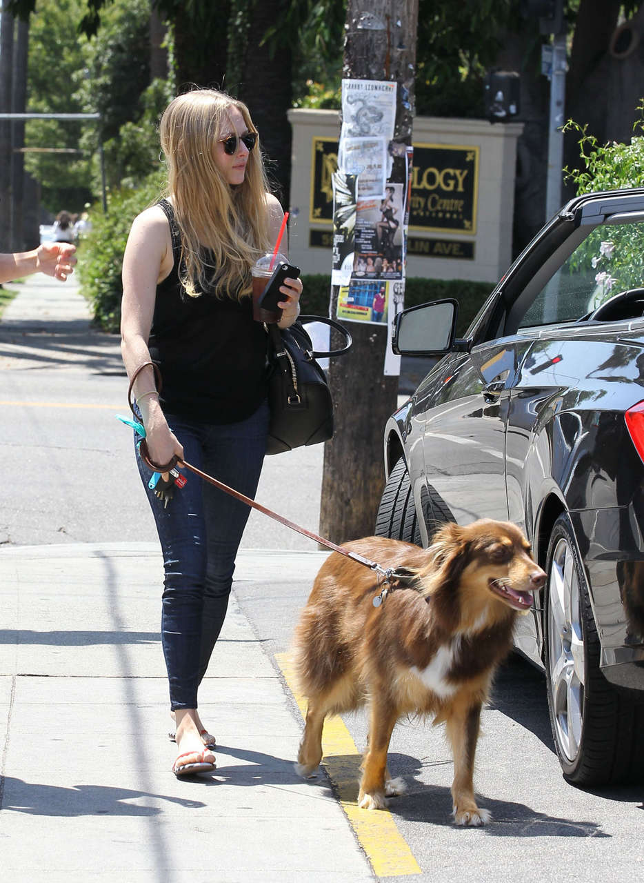 Amanda Seyfried Walking Her Dog Out Los Feliz