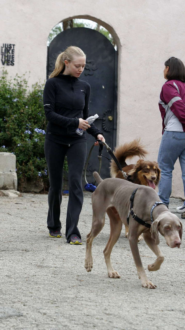 Amanda Seyfried Walks Her Dog