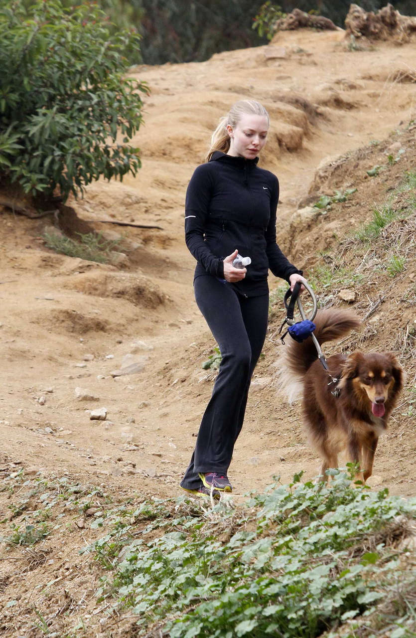 Amanda Seyfried Walks Her Dog