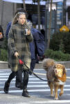 Amanda Seyfried Walks Her Dog Finn Out New York