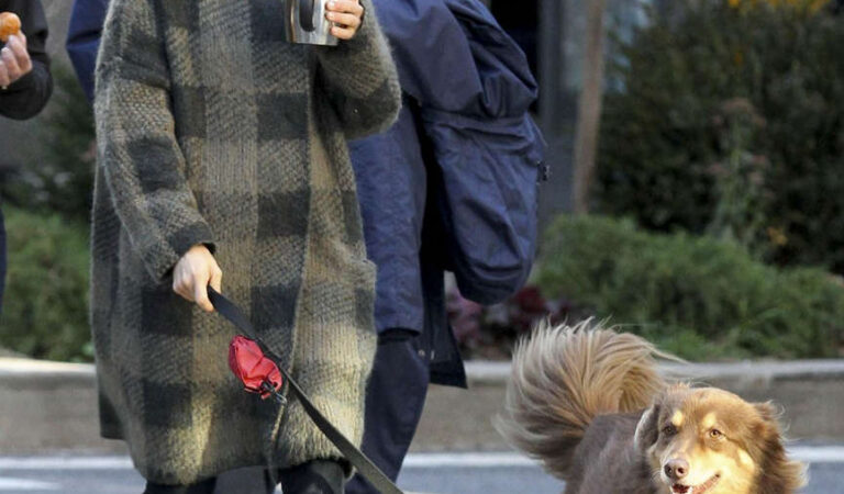 Amanda Seyfried Walks Her Dog Finn Out New York (5 photos)