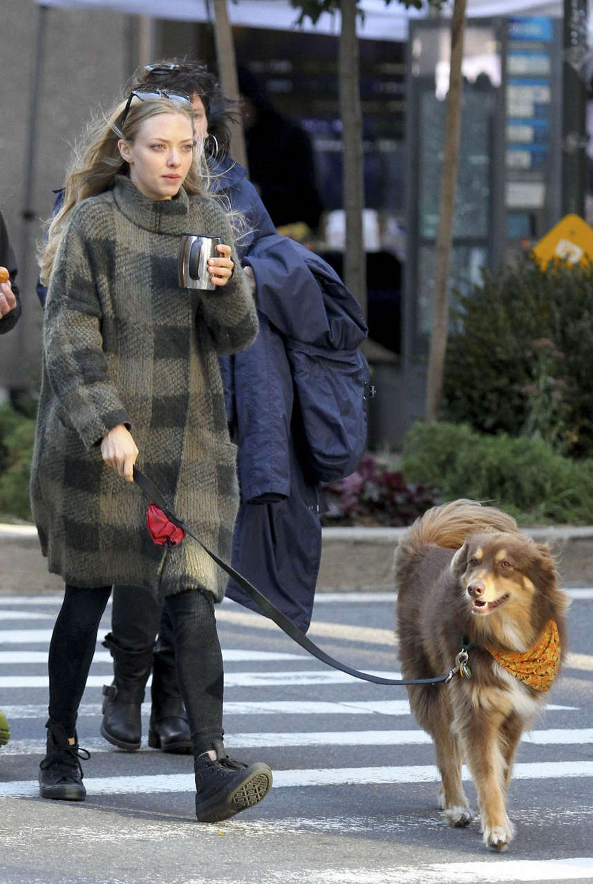 Amanda Seyfried Walks Her Dog Finn Out New York