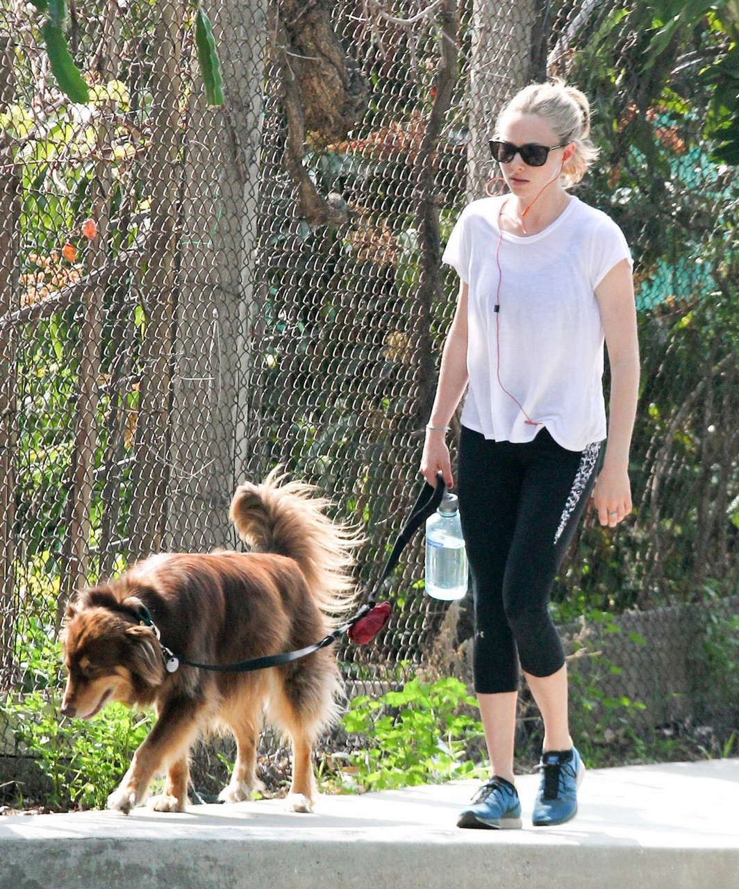 Amanda Seyfried Walks Her Dog Out Los Angeles