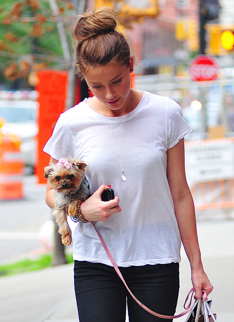 Amber Heard Out About New York
