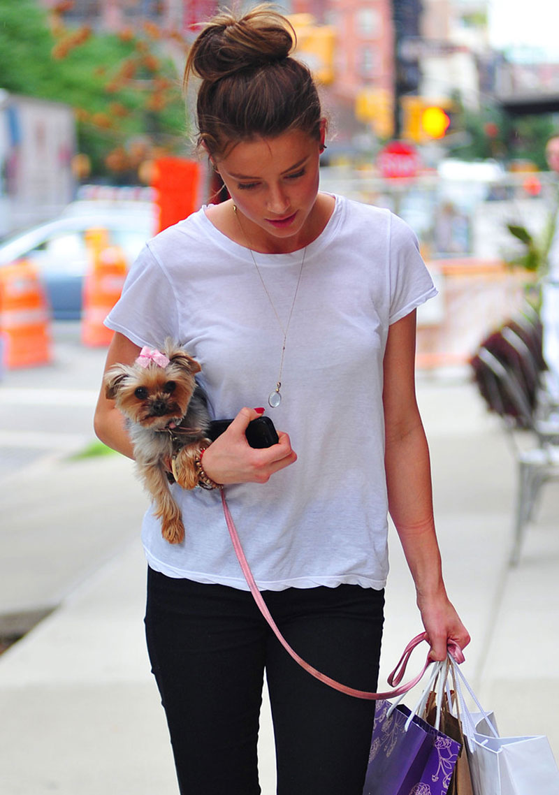 Amber Heard Out About New York