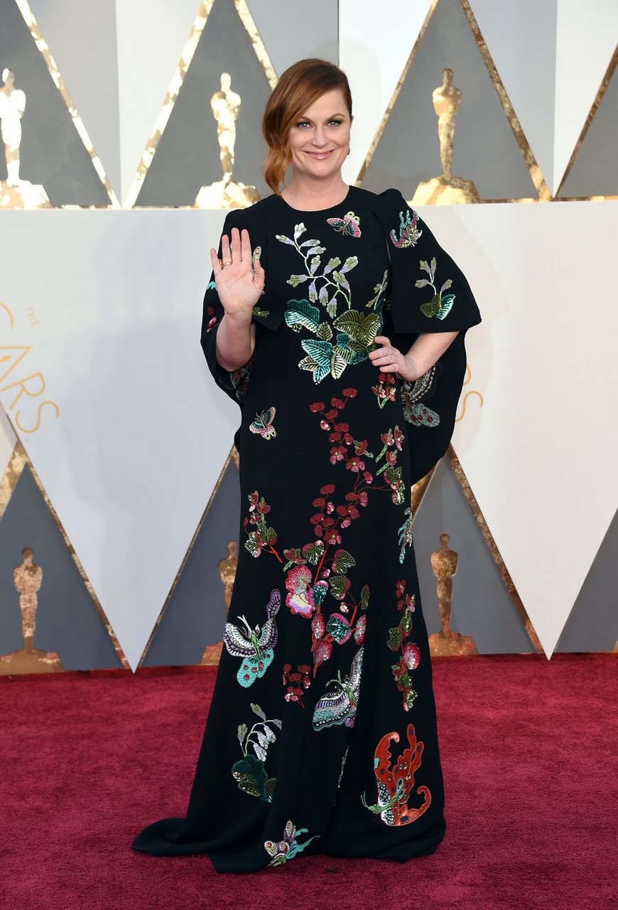 Amy Poehler 88th Annual Academy Awards Hollywood
