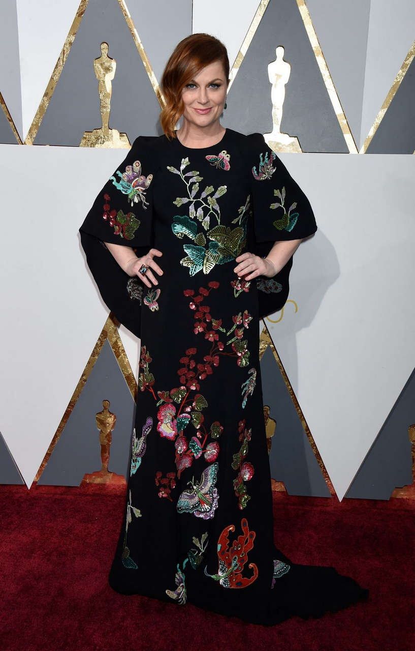 Amy Poehler 88th Annual Academy Awards Hollywood
