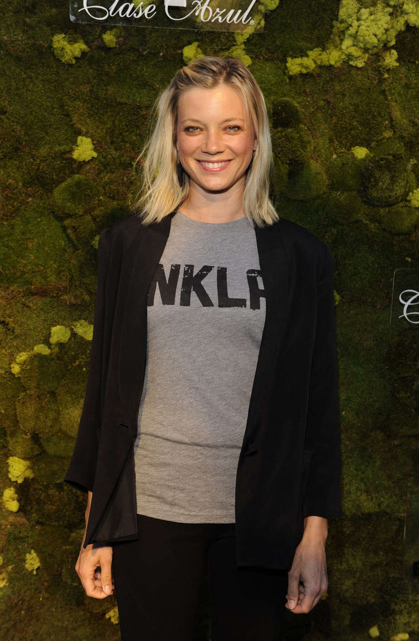 Amy Smart 3rd Annual Fluffball Animal Charity Event Los Angeles