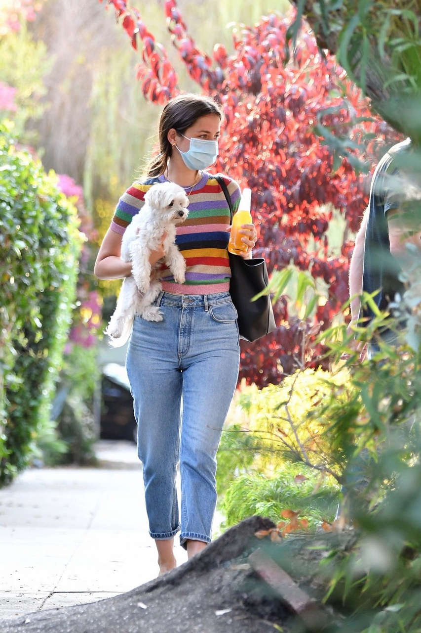 Ana De Armas Ben Affleck Out With Their Dog Los Angeles